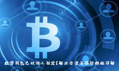 数字钱包已被他人锁定？解决方案与预防措施详解